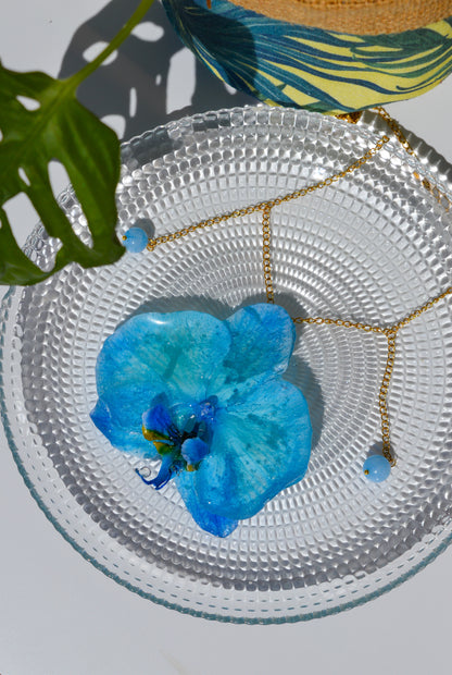 Orquídea Live in Blue