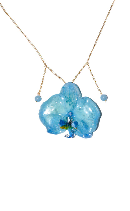 Orquídea Live in Blue