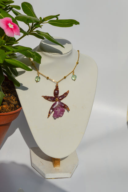 Orquídea Estrella Rosa