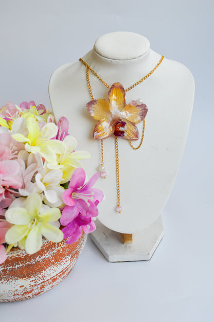 Orquídea Sueño Dulce