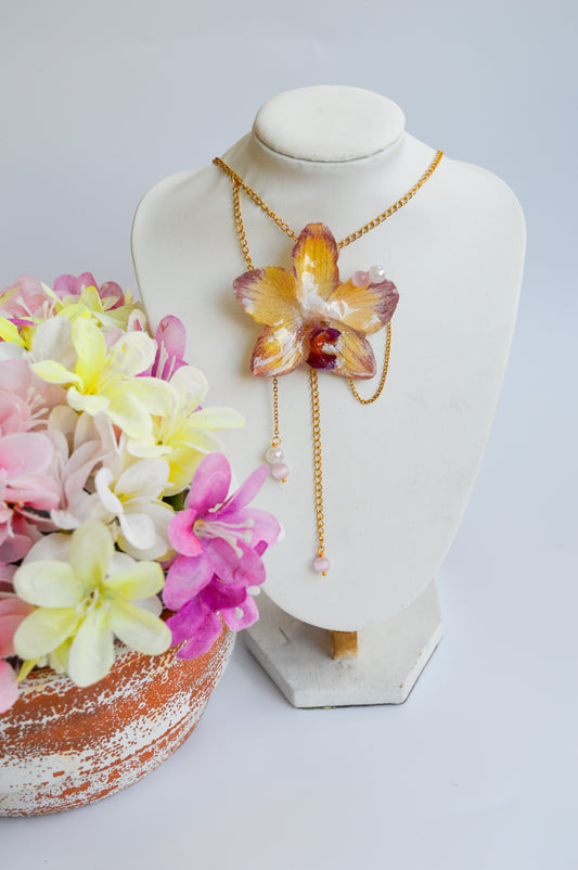 Orquídea Sueño Dulce