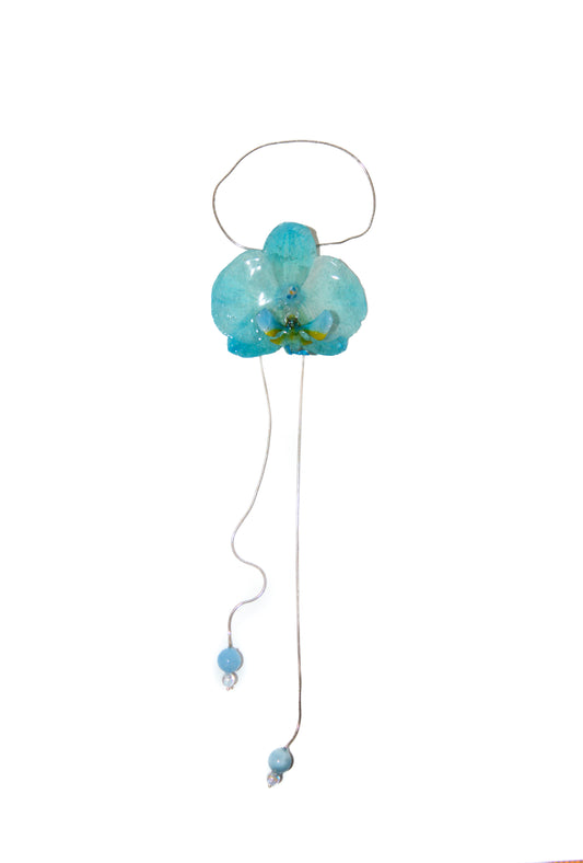 Orquídea Medusa Algodón Azul