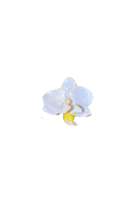 Anillo Orquídea Light Blue