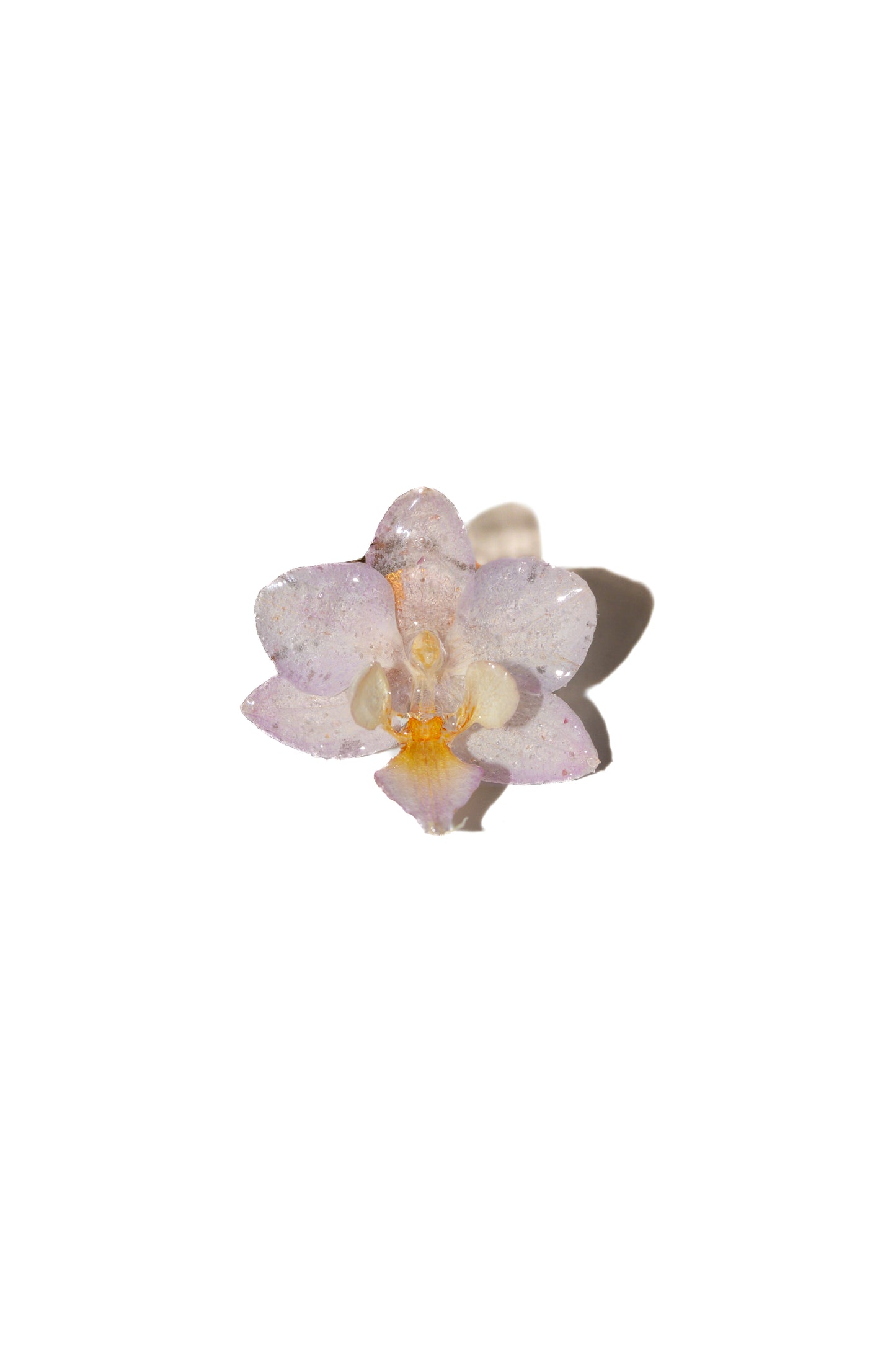 Anillo Orquídea Lila