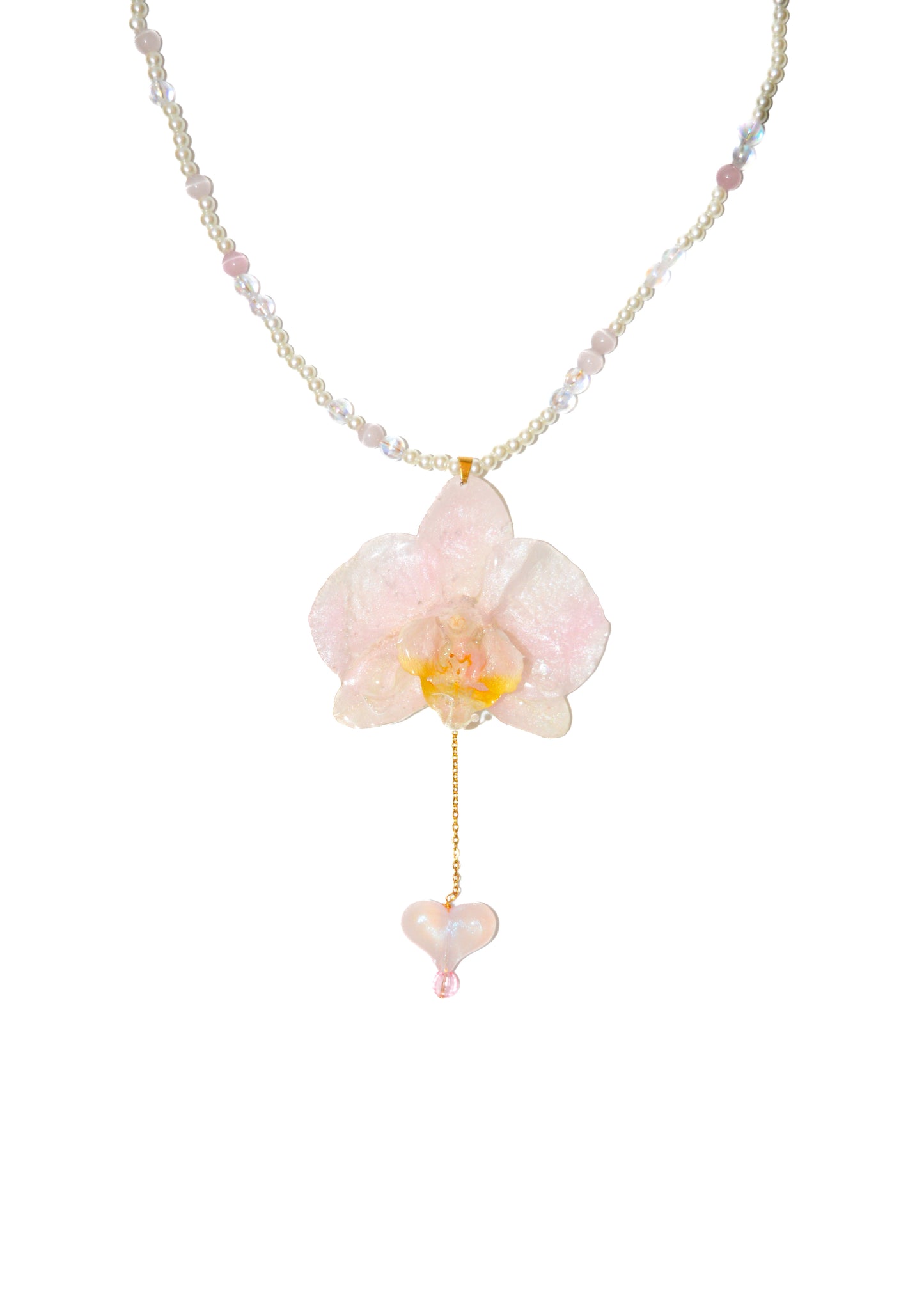 Orquídea Melodía Dulce