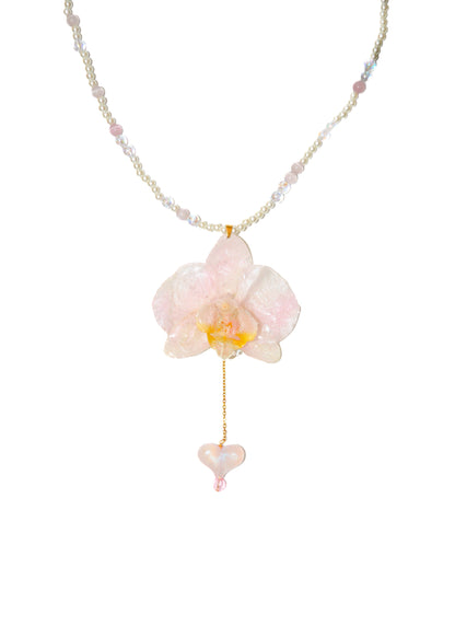 Orquídea Melodía Dulce