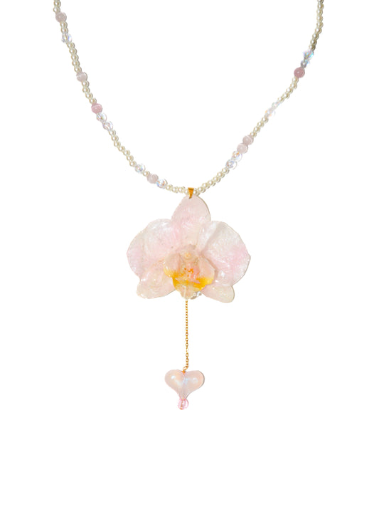 Orquídea Melodía Dulce