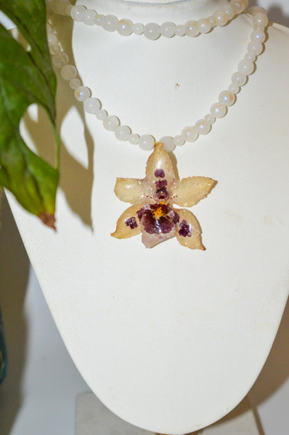 Piedra Luna Magnética