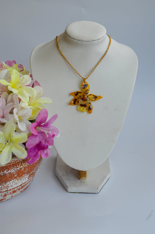 Orquídea Guerrera