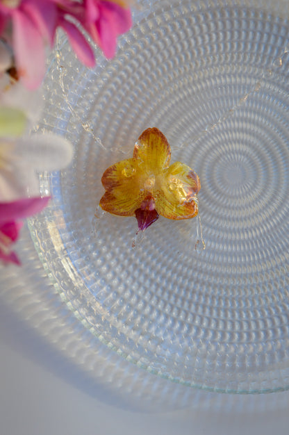 Orquídea Pequeña Gota