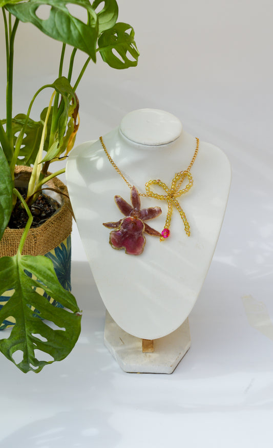 Orquídea Coquette
