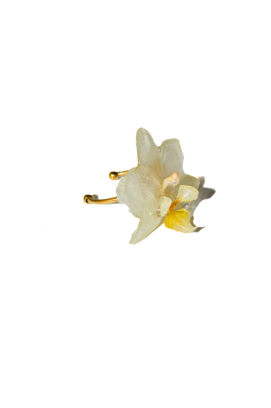 Anillo Orquídea Blanca