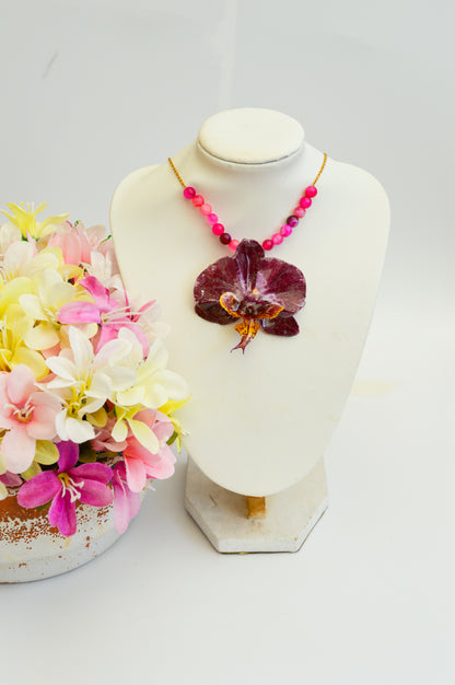 Orquídea Chispa Rosada